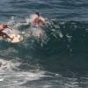 bali19