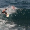 bali20
