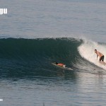 bali01