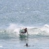 bali14