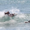 bali16