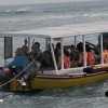 bali33