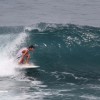 bali44