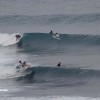 bali50