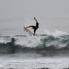 bali79