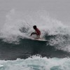 bali95