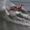 bali02