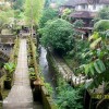 bali12
