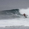 bali23