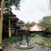 bali24