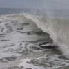 bali29