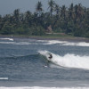 bali29