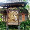 bali50