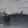 bali08