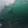 bali11