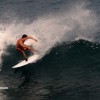 bali24