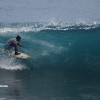 bali66