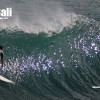 bali01