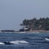 bali14