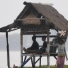 bali17