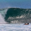 bali22