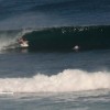 bali25
