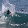 bali31