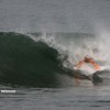 bali31
