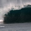 bali41