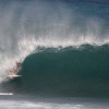 bali50