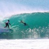 bali50