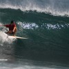 bali60
