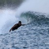 bali11