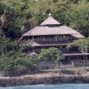 bali21