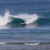bali31