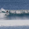 bali40