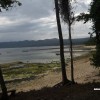 bali42