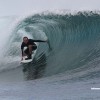 bali50