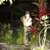 bali50