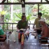 bali59