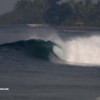 bali73
