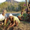 7-tree-planting-2252