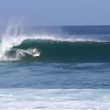 bali71