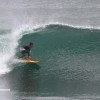 bali19