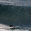 bali21