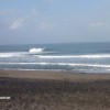 bali23