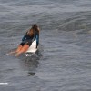 bali07