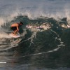 bali20