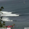 bali49