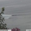 bali19